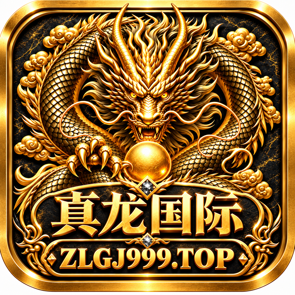 真龙国际